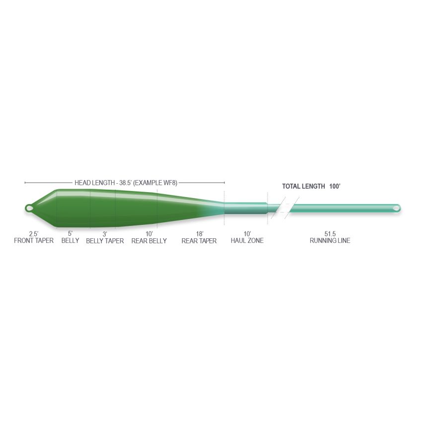 Airflo Ridge 2.0 Flats Power Taper Fly Line in Sea Grass and Aqua